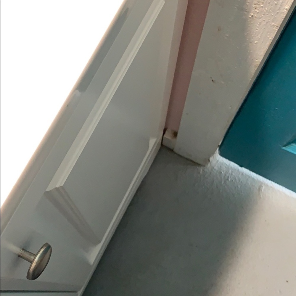 Meet your Posher, Abby